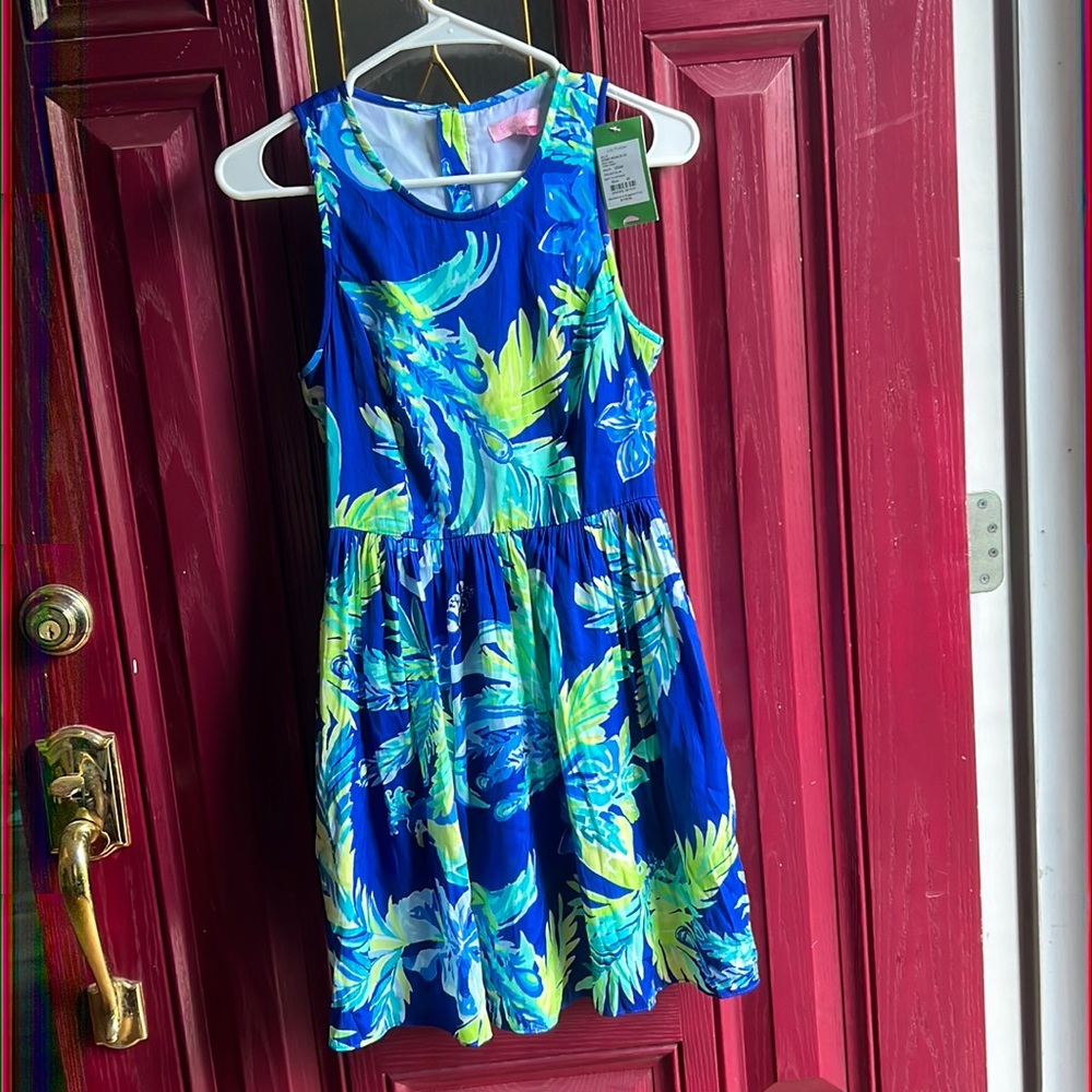 NWT Stunning Lilly Pulitzer Dress